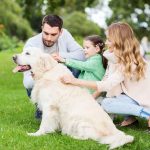 First Trans-Species Monkeypox Case Confirmed in Pet Dog