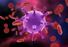 Virus surrounded by red blood cells