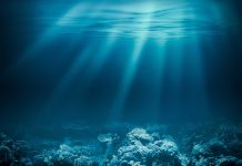Sunlight beams illuminating ocean coral reef underwater scene