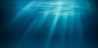 Sunlight beams illuminating ocean coral reef underwater scene