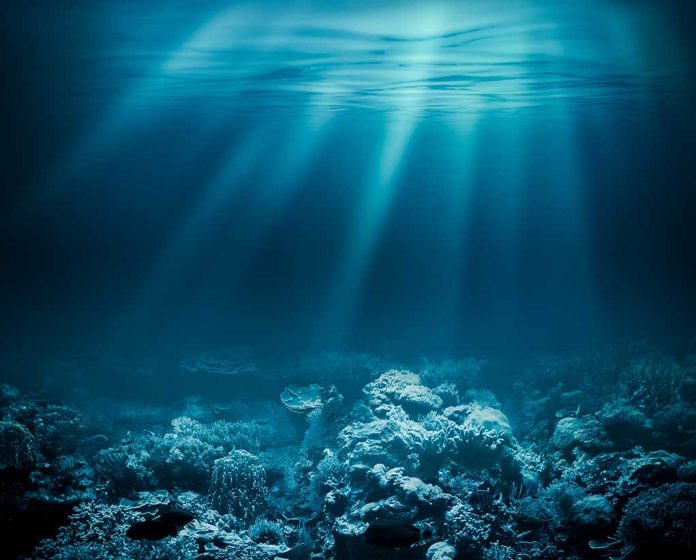 226506523 featured image Sunlight beams illuminating ocean coral reef underwater scene