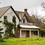 An abandoned house surrounded by overgrown grass and trees