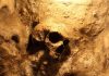 A skull embedded in a rocky surface, illuminated with warm lighting