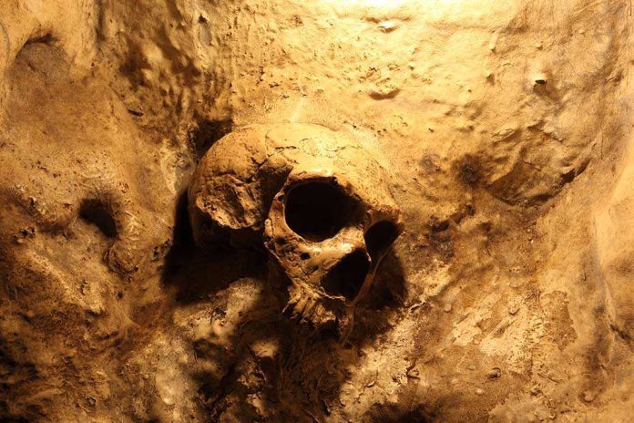 A skull embedded in a rocky surface, illuminated with warm lighting