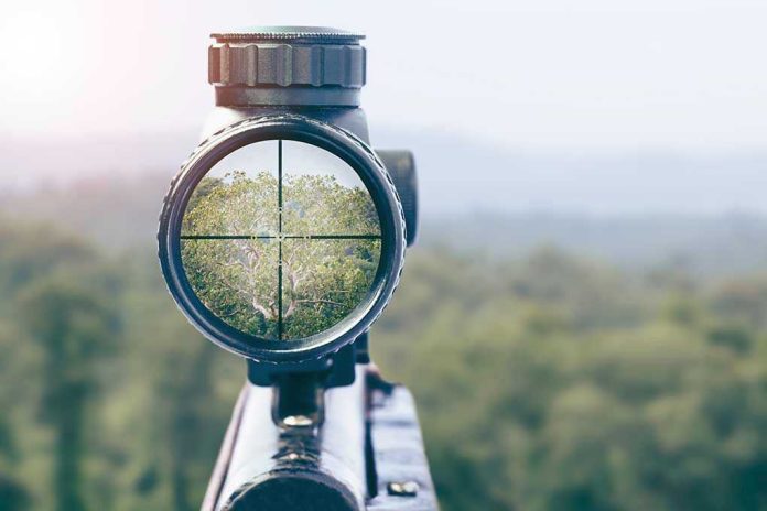 1225045114 Rifle scope aiming at a distant tree.