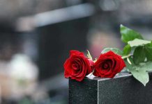 Two red roses on a gravestone.
