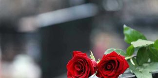 Two red roses on a gravestone.