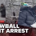 Ice-Chunks AMBUSH NYPD In Park ARREST made after New York City Police pelted with