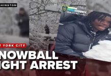 Ice-Chunks AMBUSH NYPD In Park ARREST made after New York City Police pelted with