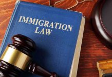 Violent ICE Arrest Shocks San Francisco Blue immigration law book with wooden gavel.