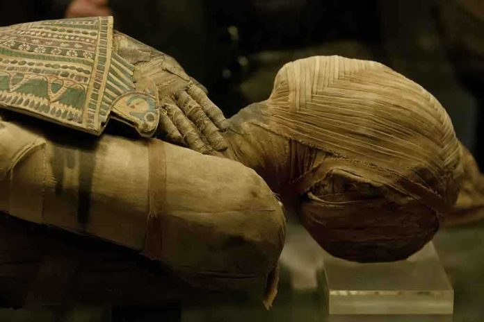 Close-up of an Egyptian mummy displayed in a museum