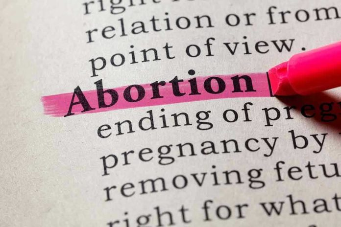 Abortion highlighted in a dictionary with a pink marker.