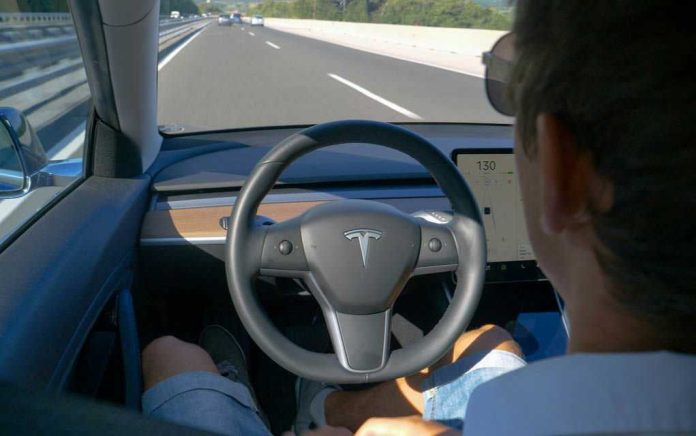Person using autopilot in Tesla on highway.