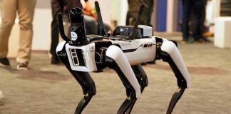 Philly Destroys Delivery Robots—AGAIN! Robotic dog standing on indoor carpeted floor.
