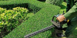 Racist Lawns? TikTok Sparks Suburban WAR A gardener using a hedge trimmer on a bush