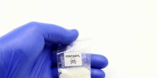 Hand in glove holding fentanyl packet with skull warning.