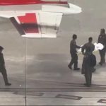 9-year-old flown to Miami after dog attack in Bahamas