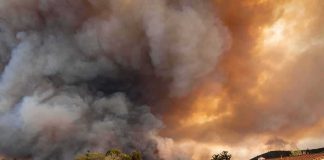 Toxic Sky Blankets 100 Million