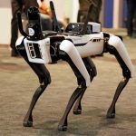 Ukraine’s Newest Weapon Has Russian Soldiers Running For Their Lives Robotic dog standing on indoor carpeted floor.