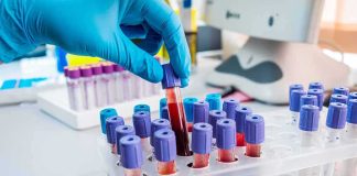 Gloved hand holding a blood sample tube in a lab rack