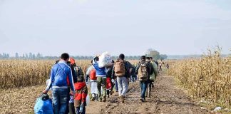 Group of people walking along a muddy rural path between fields