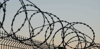 Razor wire coils atop a metal security fence at dusk